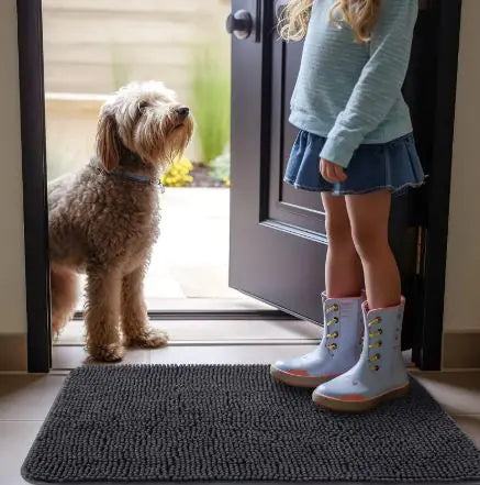 Tapis de Porte Antidérapant pour Animaux